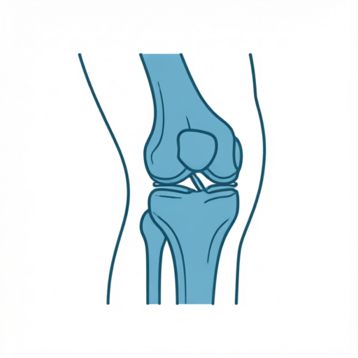 Fisioterapia Ortopédica