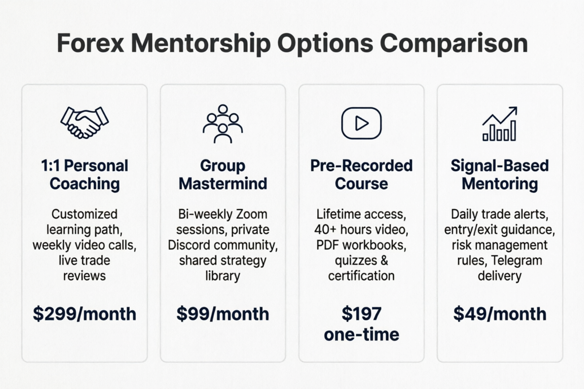 Comparison of different forex mentorship types