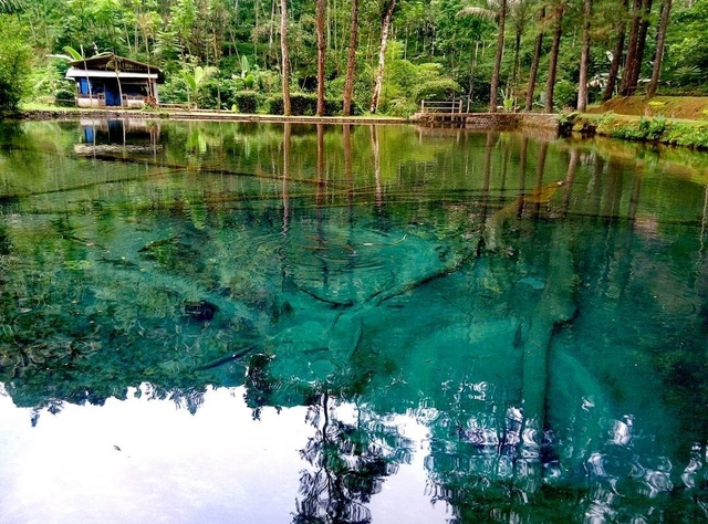 Air danau yang tenang