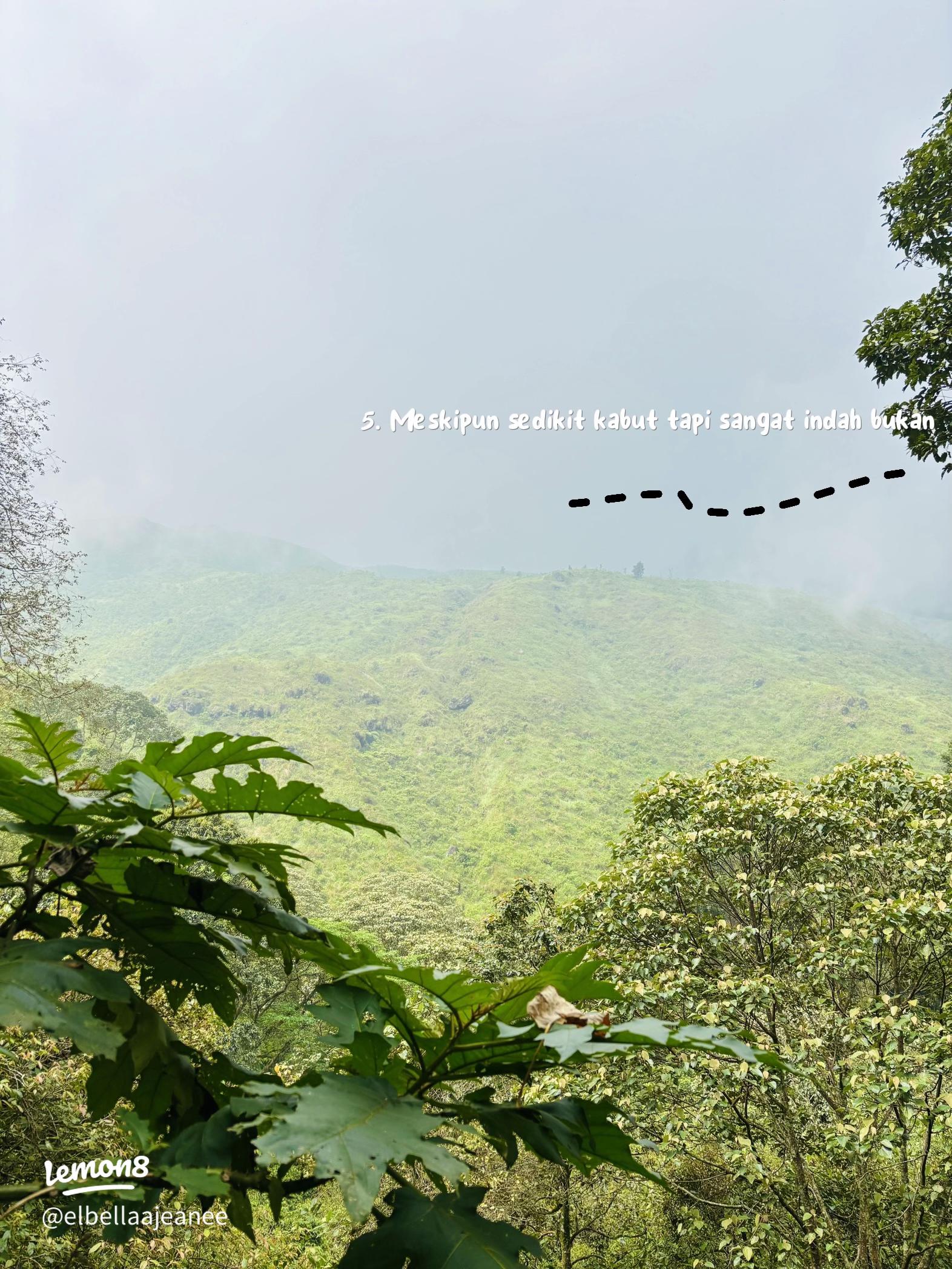 Punggung bukit hijau