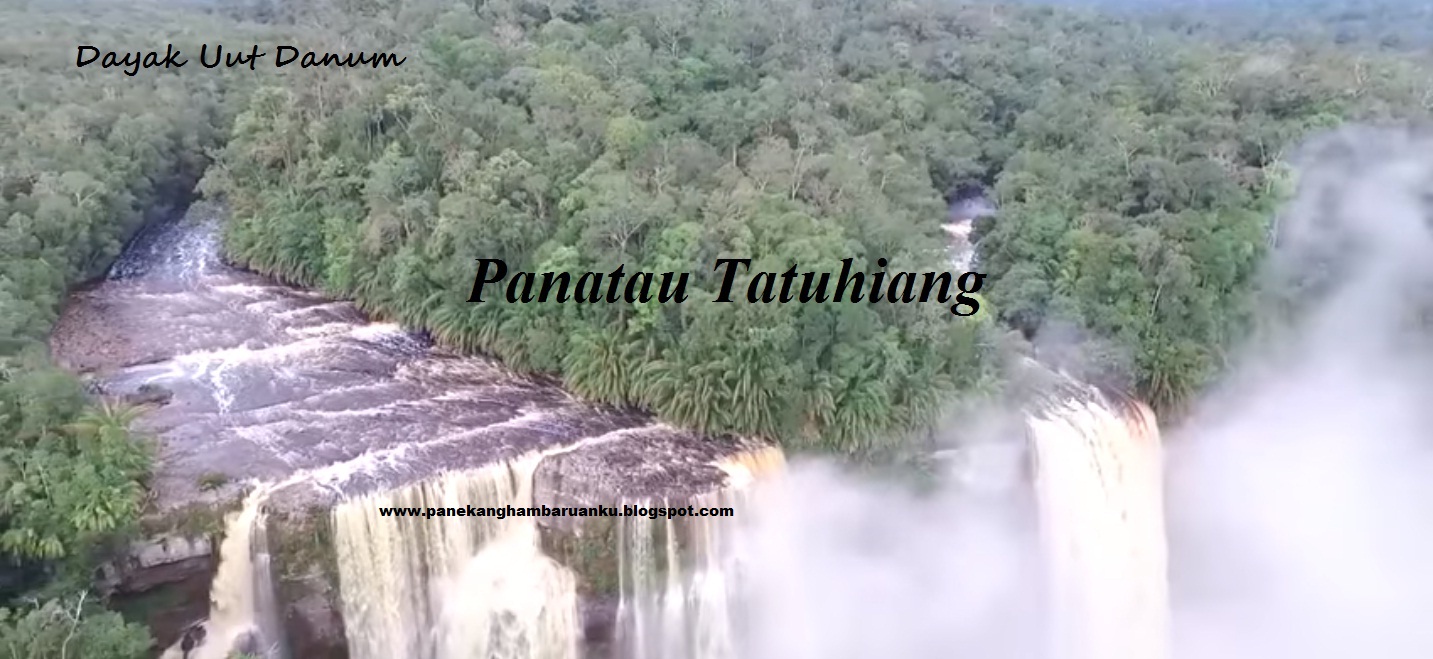 Air terjun di tengah hutan