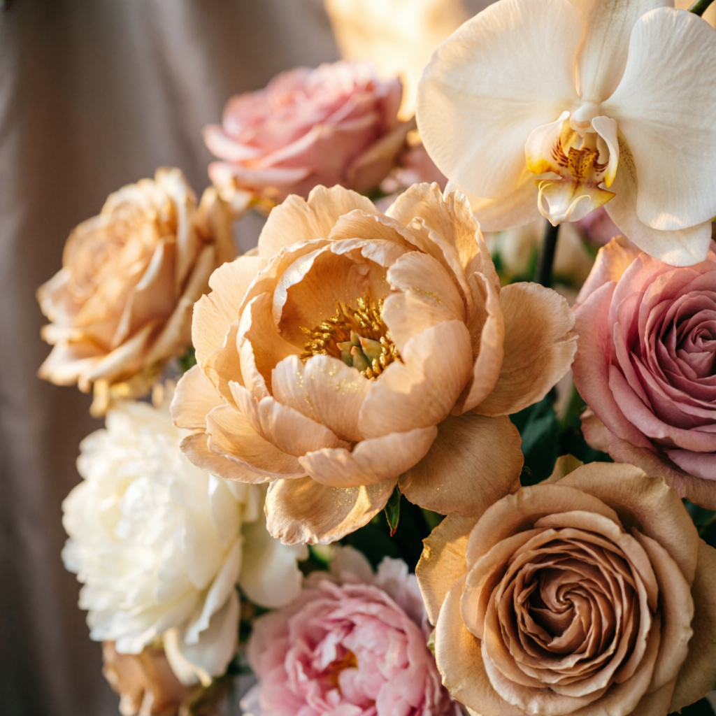 Champagne silk peonies close-up