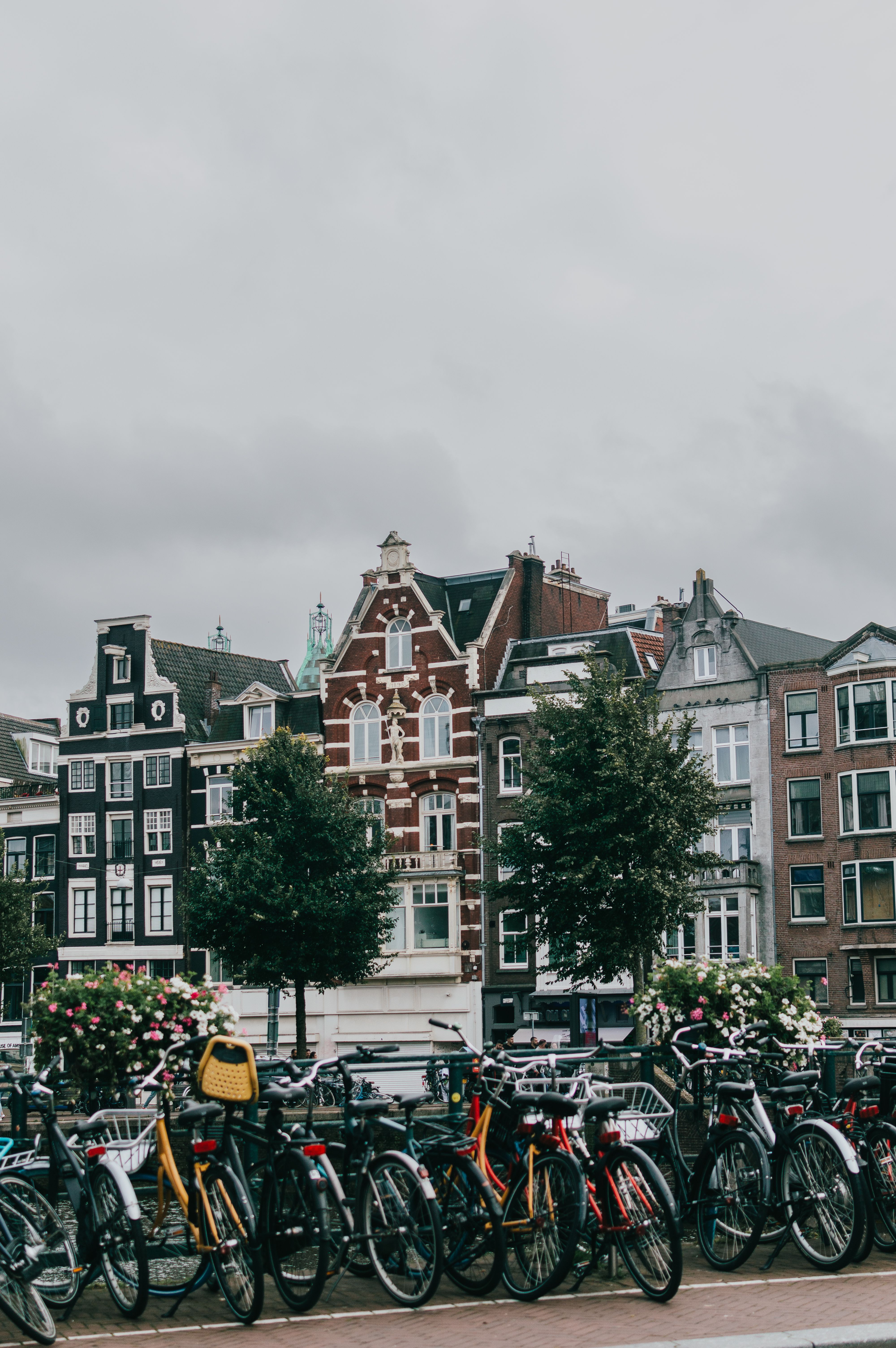 Rows of bicycles parked along an Amsterdam canal, the everyday view outside e-bike shops in Amsterdam for internationals