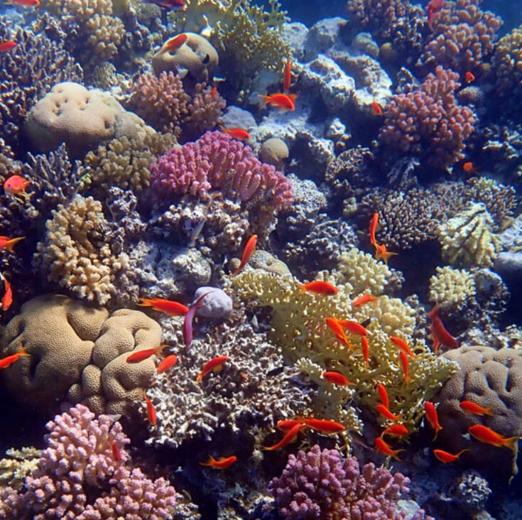 Hurghada