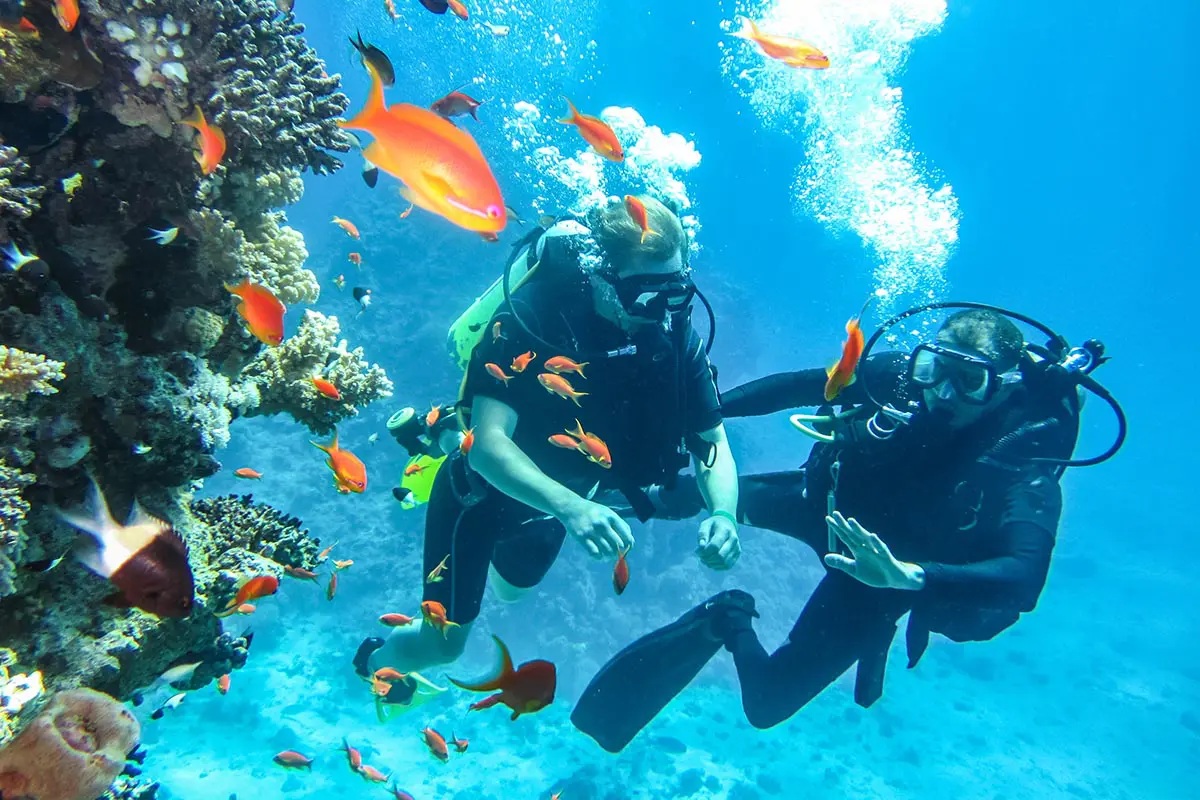 Snorkellers among Red Sea fish