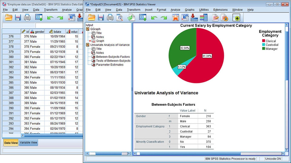 SPSS Data View