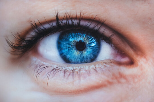 Macro photograph of a human iris