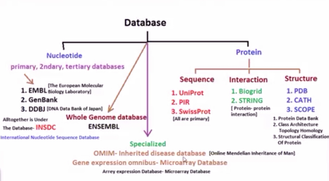 Commonly Used Bioinformatics Databases