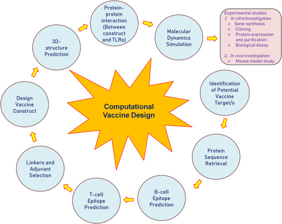 Computational Vaccine Design Workflow
