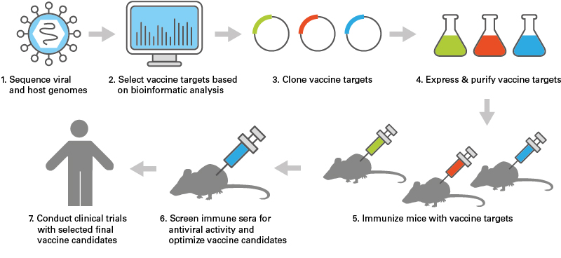 Overview of Bioinformatics in Vaccine Discovery