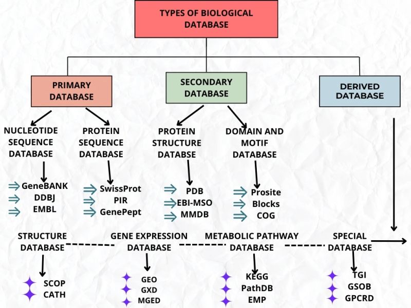 Classification of Bioinformatics Databases