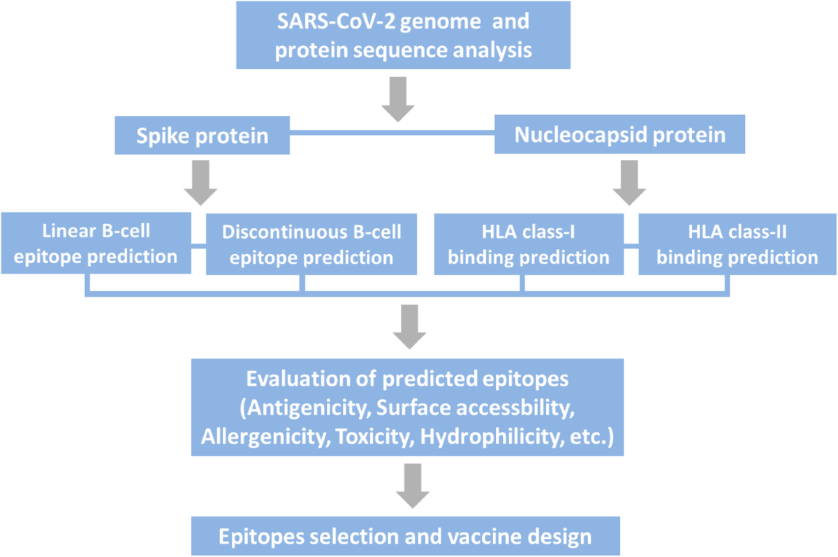 Epitope-Based Vaccine Design