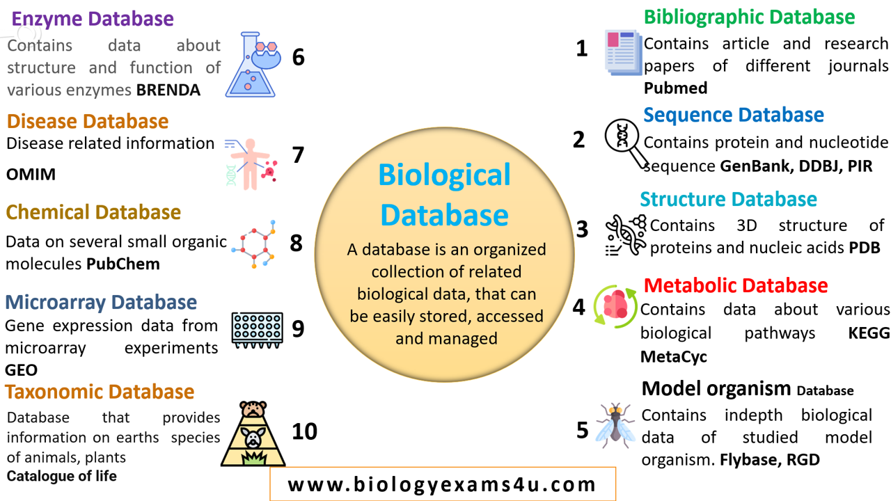 Types of Biological Databases