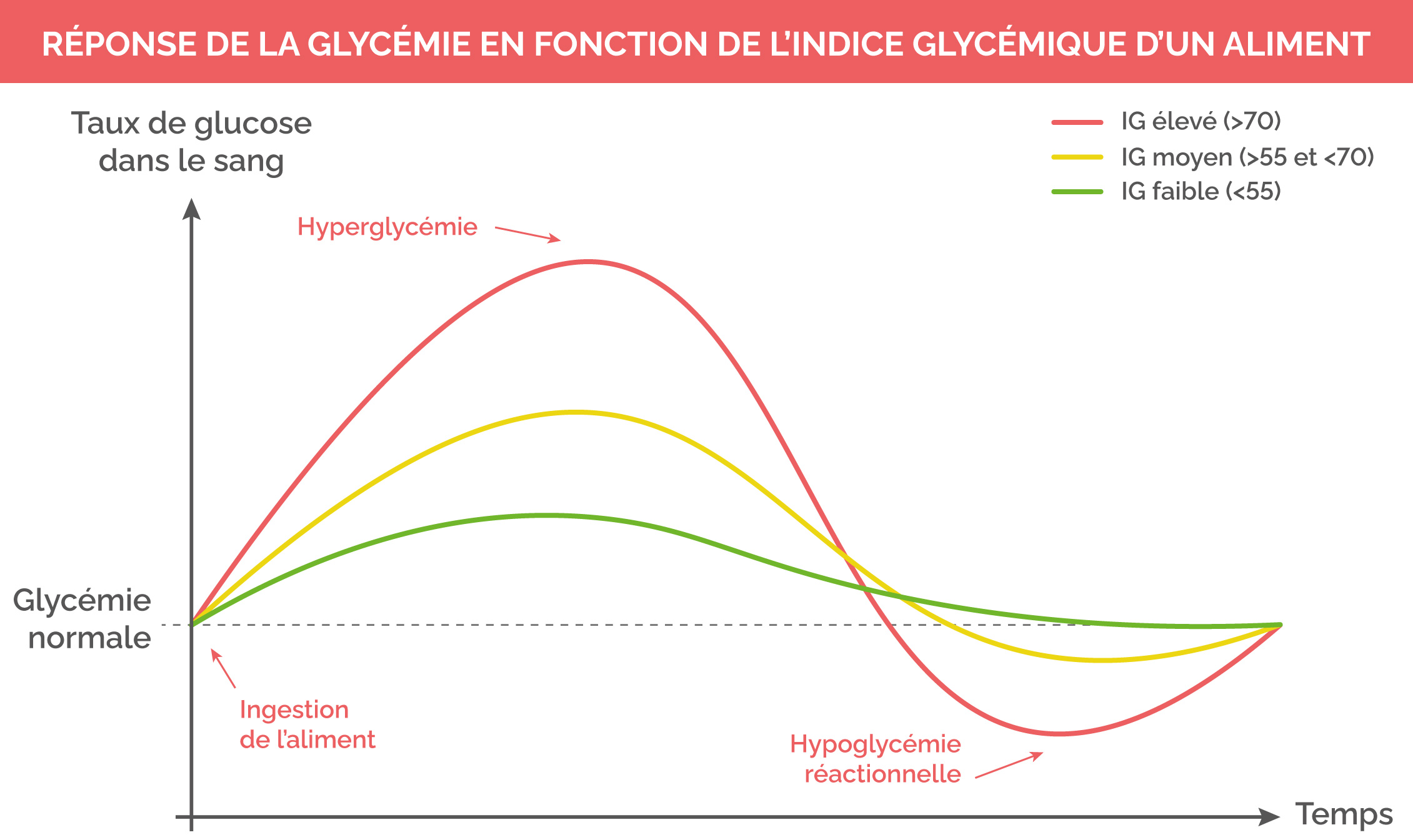 Courbe de réponse glycémique selon l'index glycémique