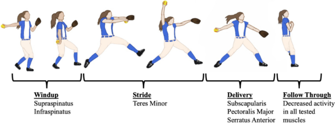 Fases del lanzamiento de sóftbol