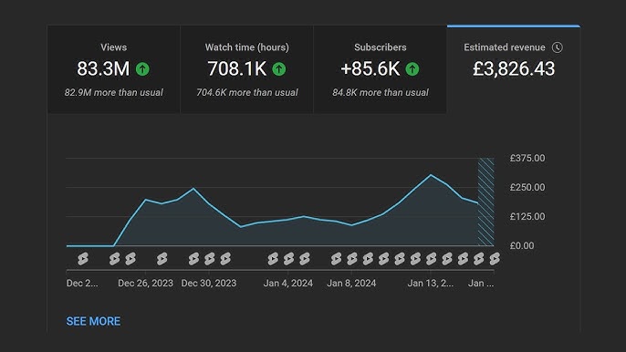 YouTube Analytics Success