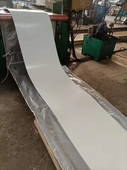 FDA Food-Grade Belts