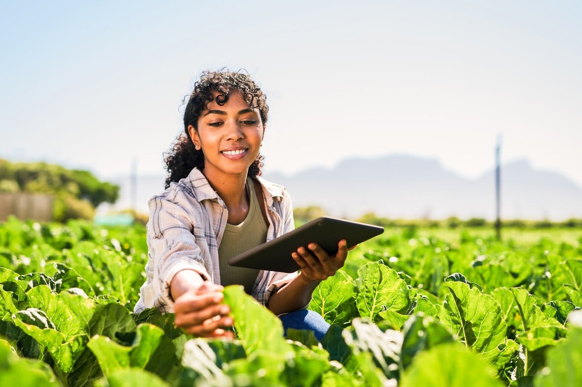 Agricultora inspecionando plantas saudáveis em campo cultivado