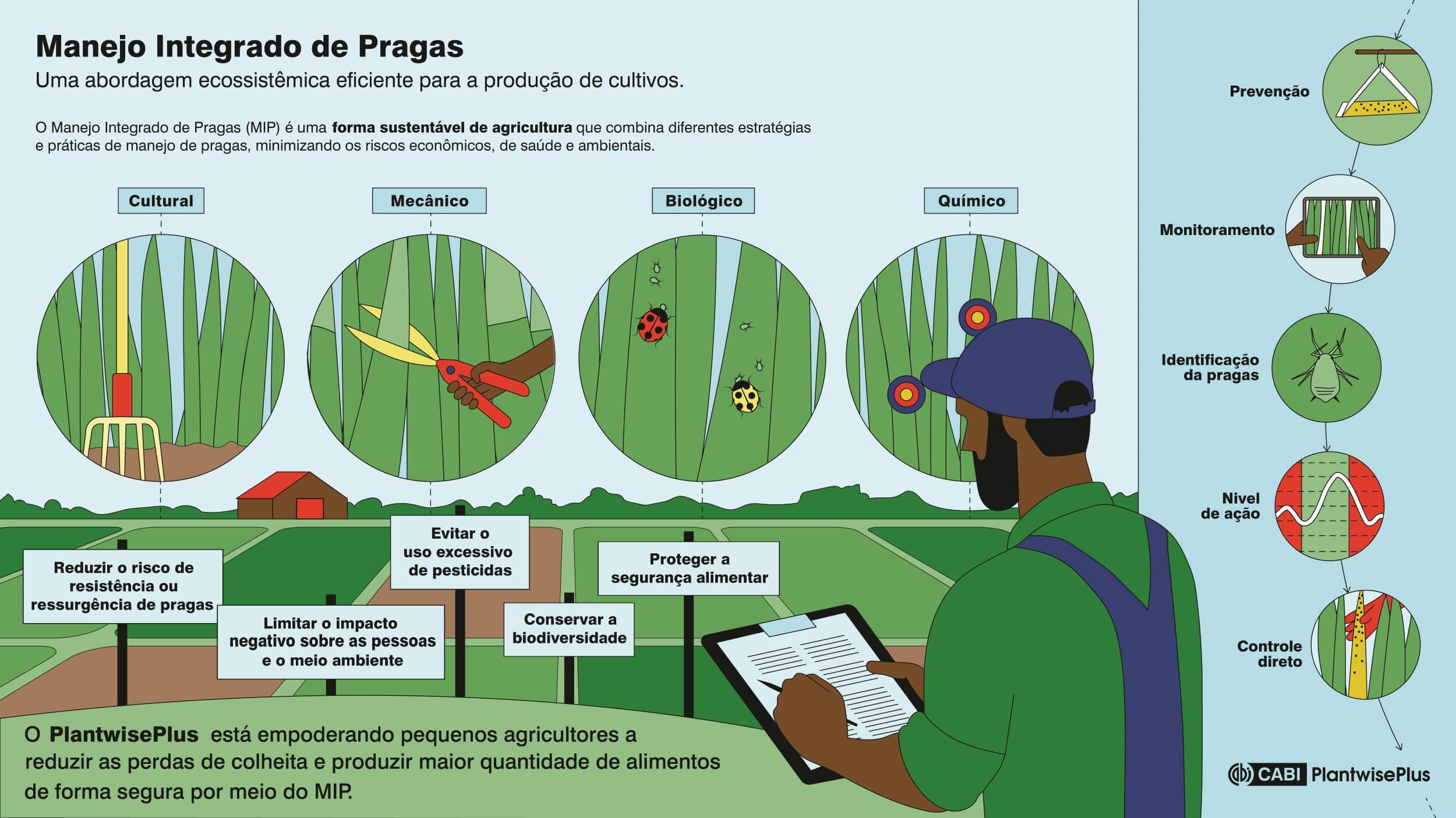 Infográfico do Manejo Integrado de Pragas mostrando métodos cultural, mecânico, biológico e químico