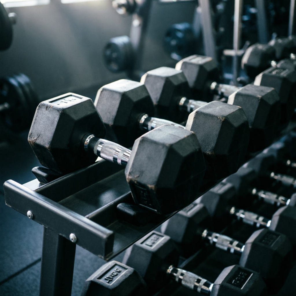 Rows of heavy dumbbells on a rack