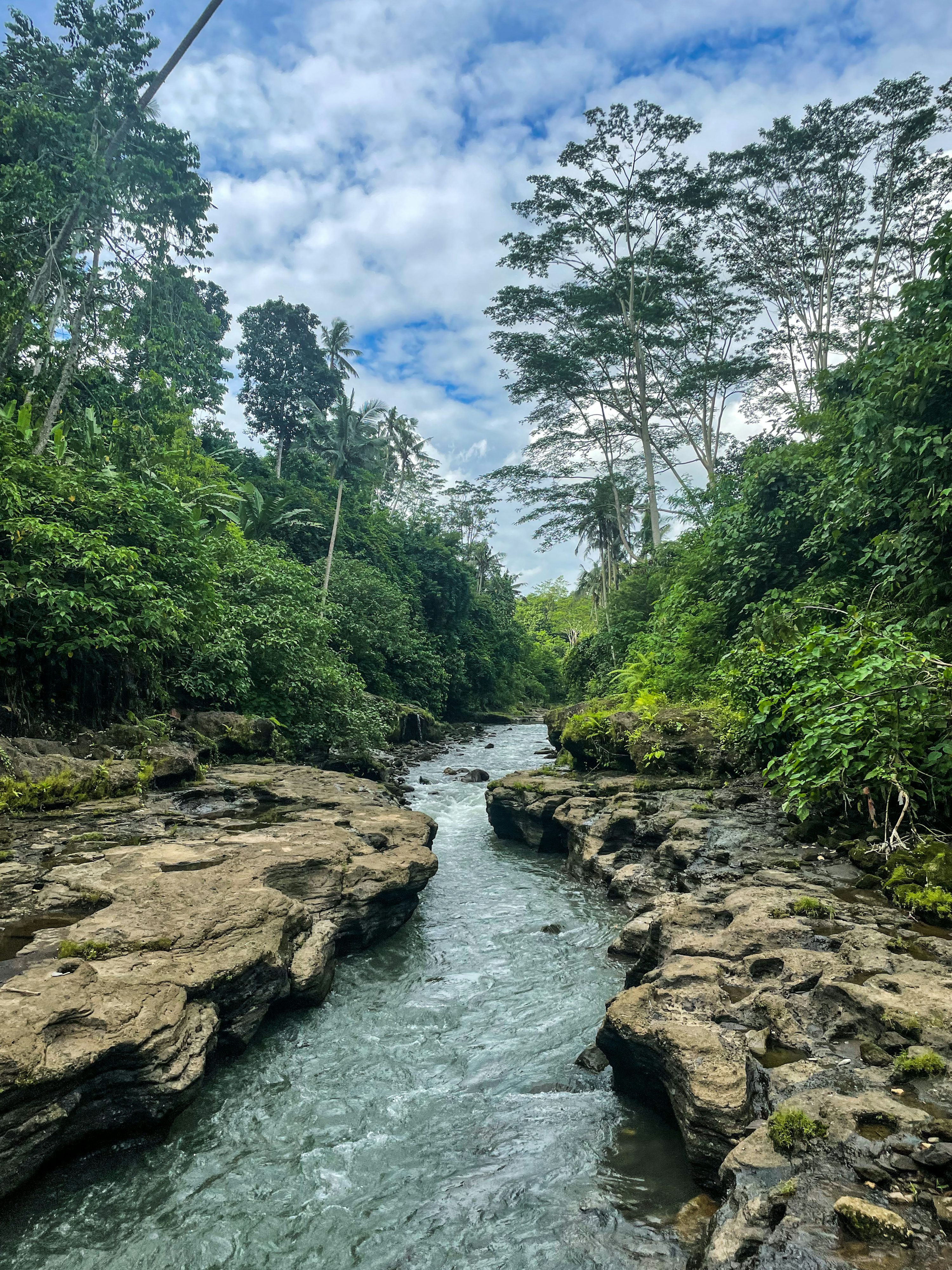 Calm jungle river scenery along the Ayung River rafting route in Ubud Bali