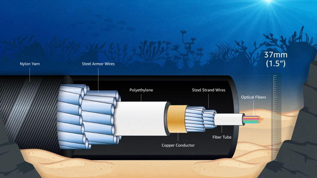 SWA cable cross-section showing steel wire armor layers