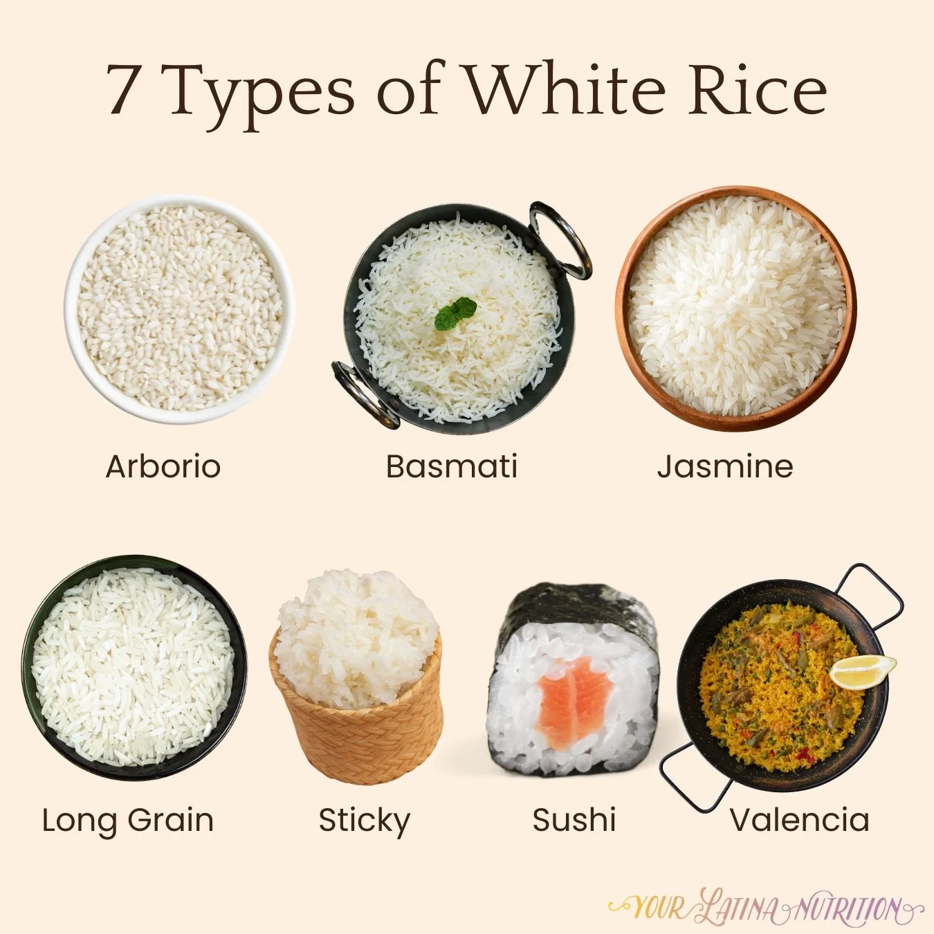 Types of white rice - Basmati, Jasmine, Arborio, and more